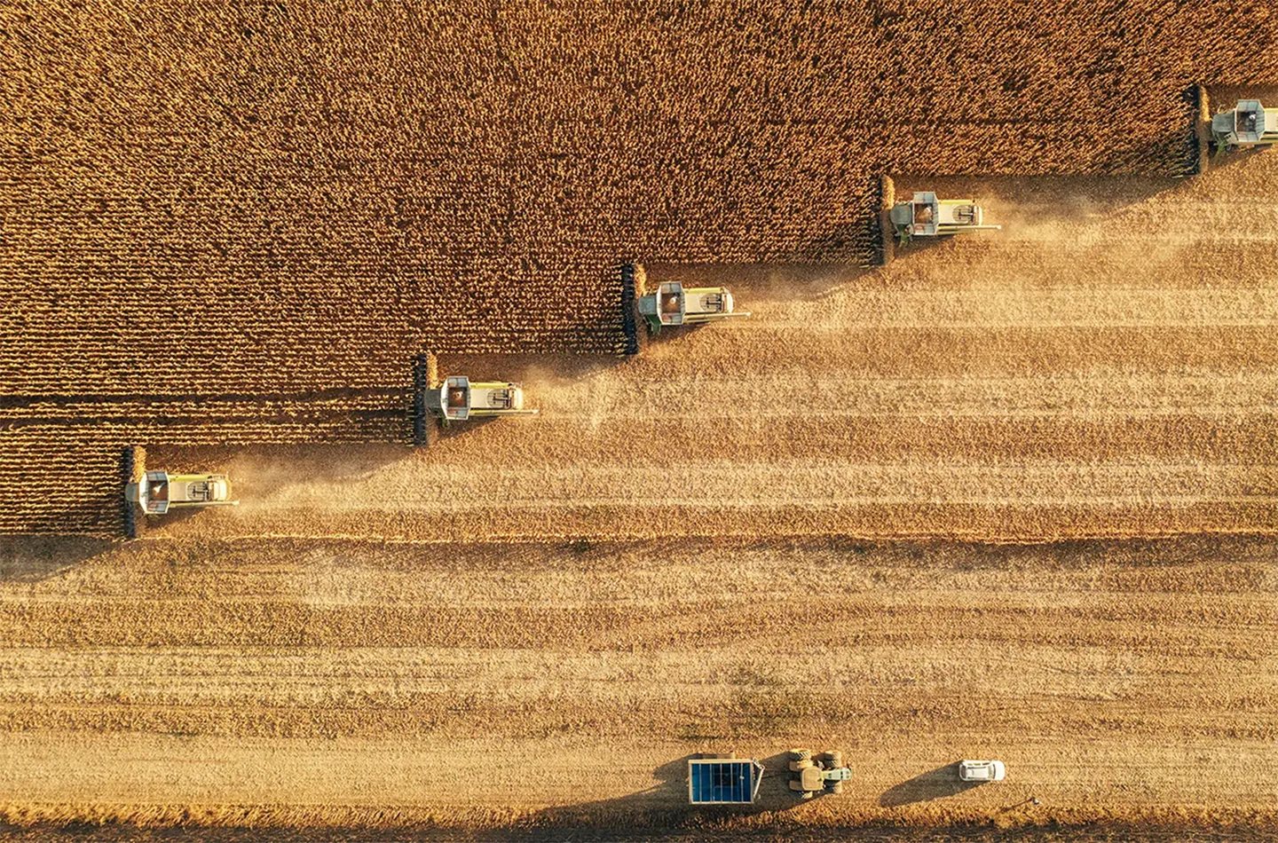 Aerial view of harvesters on a field